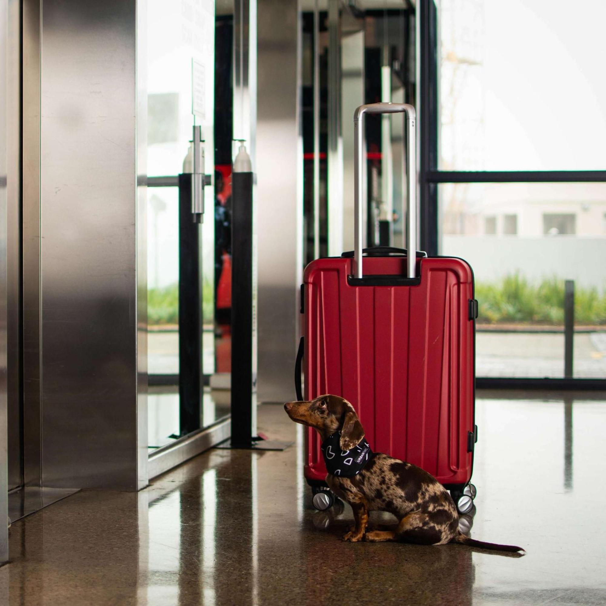 Radisson Red V&a Waterfront Kaapstad